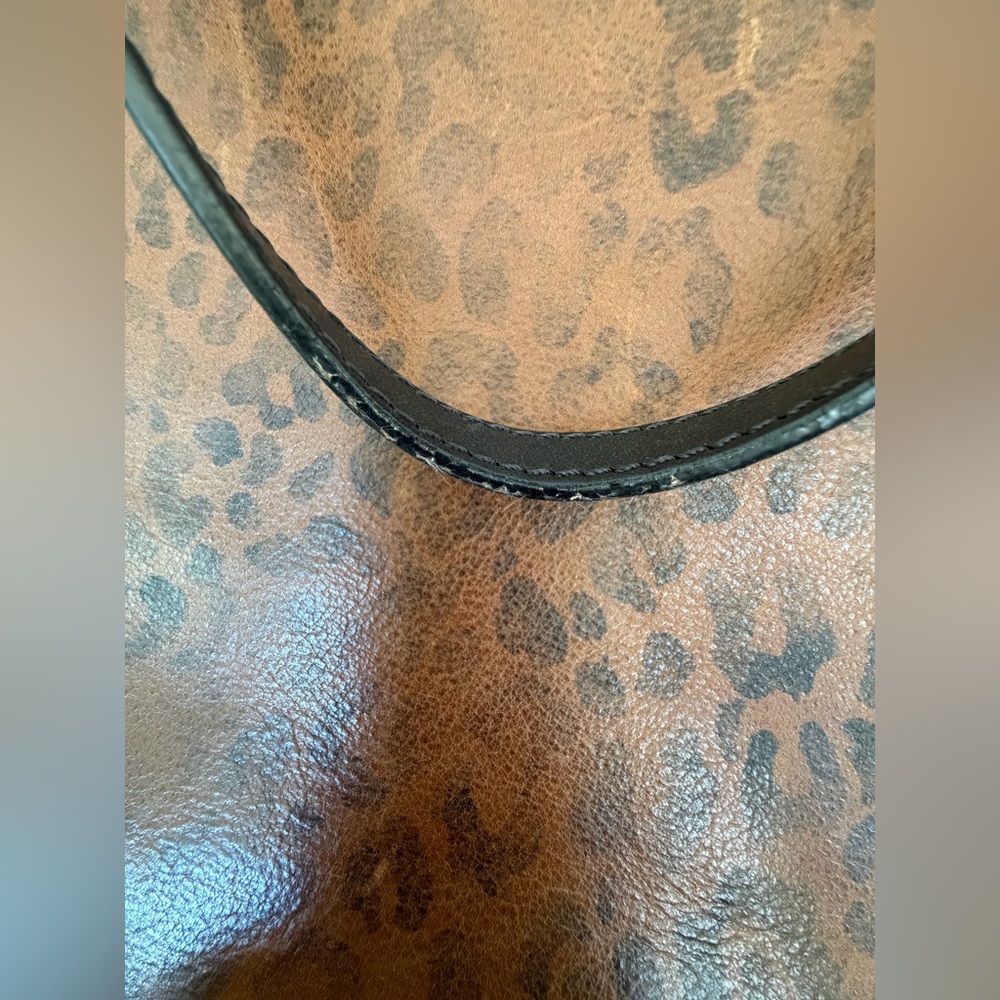 Golden Goose Leopard Leather Tote with Cuyana Leather Insert, dust bags, & tag - Picture 13 of 16